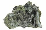 Dark-Green Epidote Crystals on Actinolite - Pakistan #213460-1